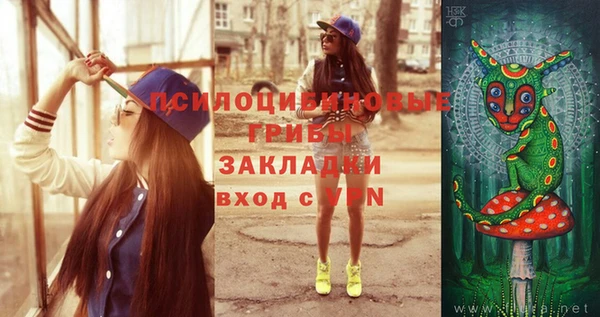 2c-b Верхний Тагил