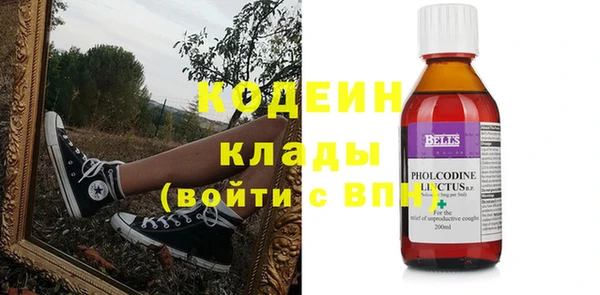 гашик Вяземский