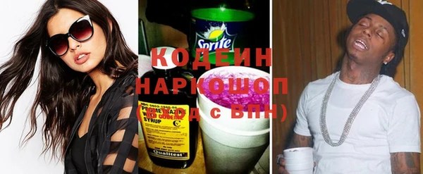 гашик Вяземский