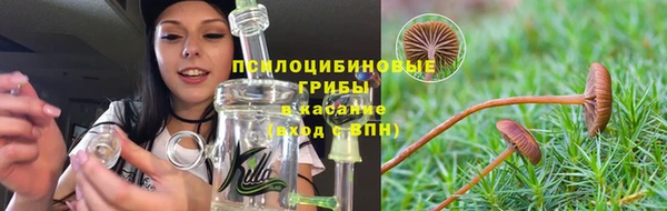 2c-b Верхний Тагил